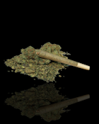 Ready-to-Roll: Ounce Mimosa Hybrid (28G)