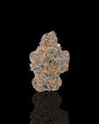 Cheetah Piss | 3.5G (H)