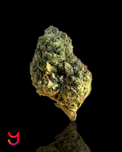 YAGA - Cheelato | 3.5G (I)