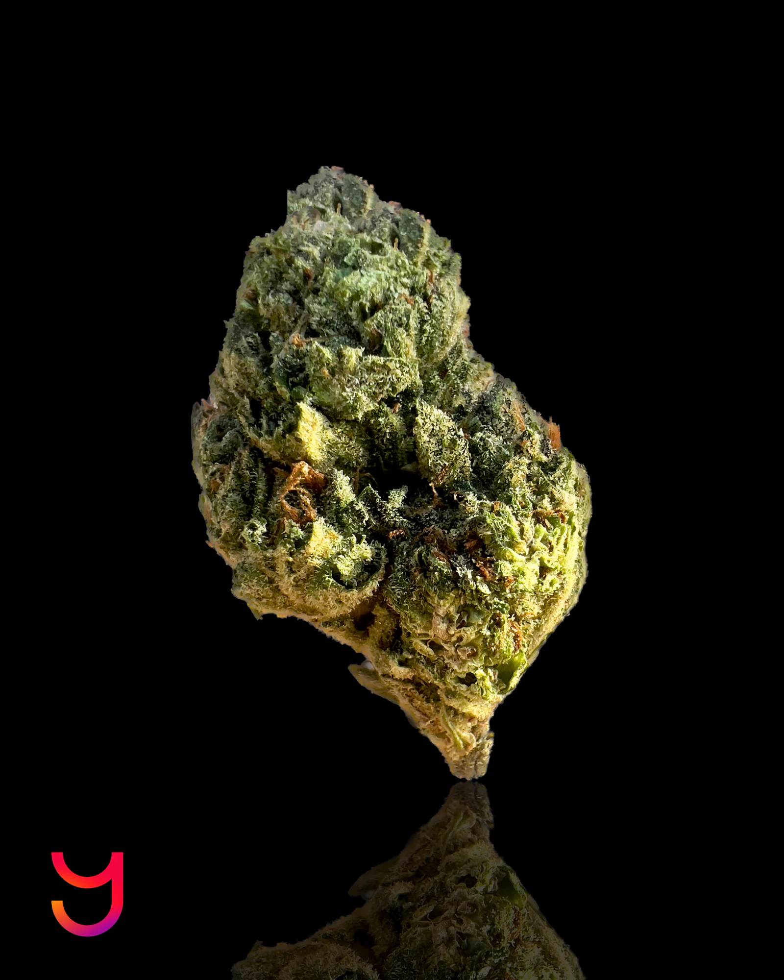 YAGA - Cheelato | 3.5G (I) Main Image