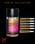 GMO Kief Coated Preroll .5G Six-Pack (Indica)