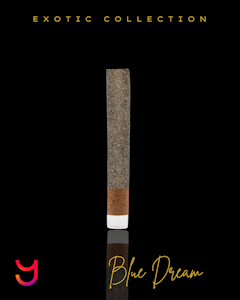 YAGA - 2G Blunt: Skittlez OG | Kief Coated Glass Tip (I)