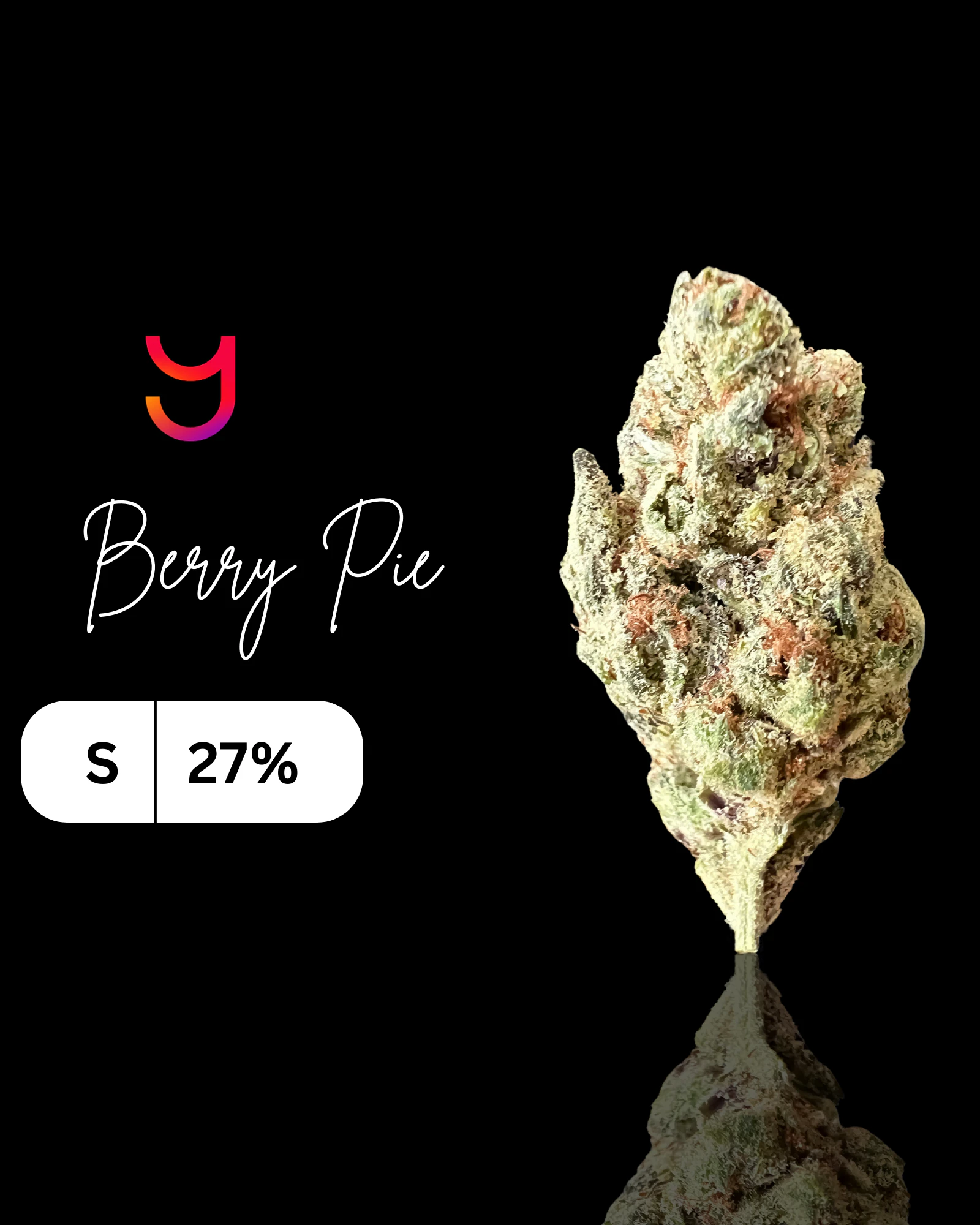 YAGA - Berry Pie Ounce | 28G (S) Main Image