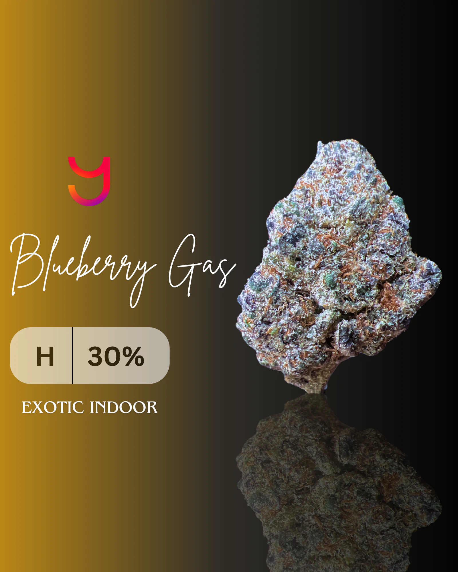 YAGA - Blueberry Gas Smalls (H): Top Shelf | 10G Main Image
