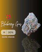 Blueberry Gas: Exotic Indoor | 14G (H)