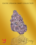 Blockberry Kush: Top Shelf | 3.5G (I)