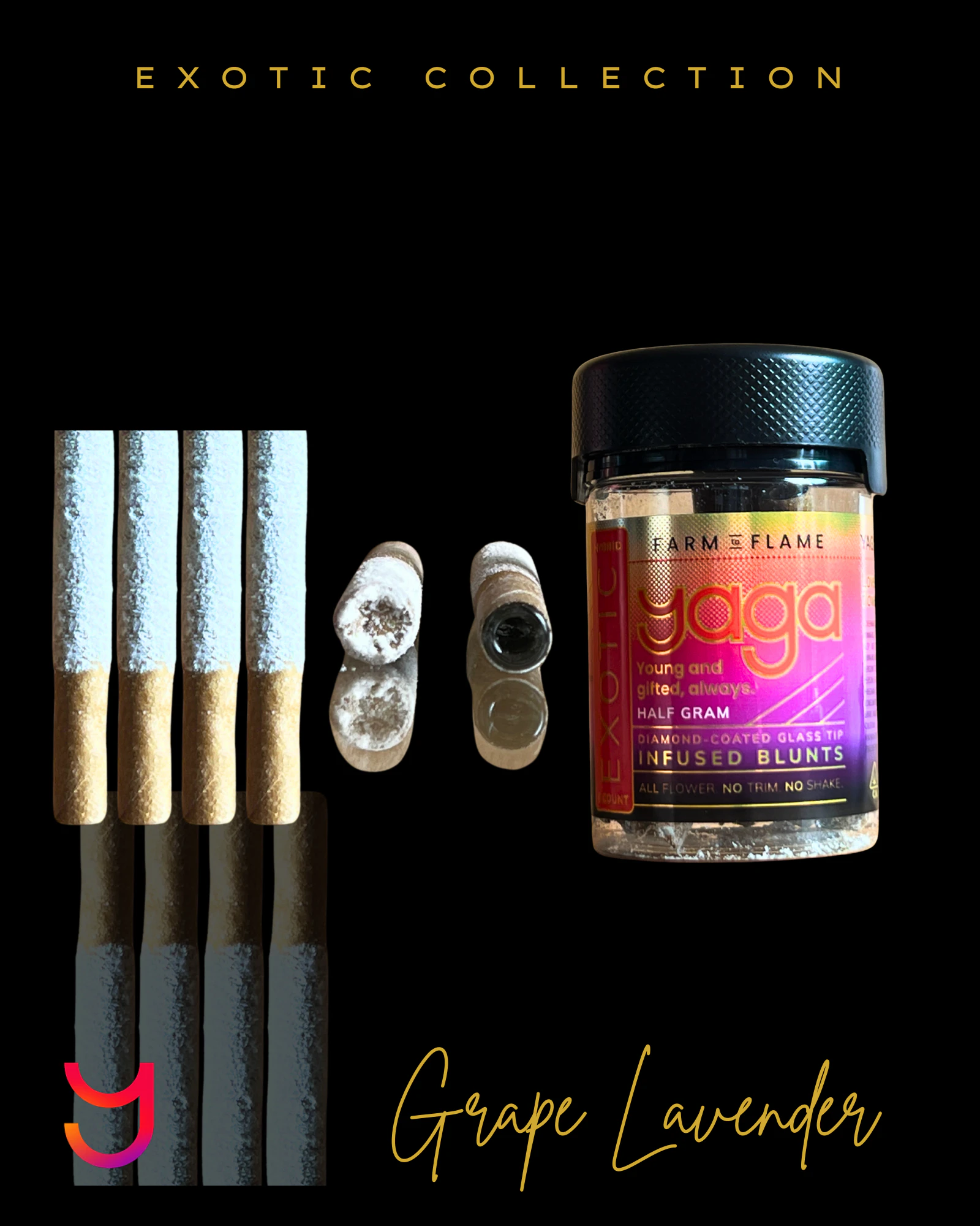 YAGA - Blunts x6: Grape Lavender Diamond Coated .5G Glass Tip (Hybrid) Main Image