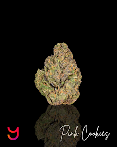 YAGA - Pink Cookies Top Shelf | 3.5G (Indica)