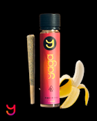 Banana Kush Topshelf Preroll | 1G (H)