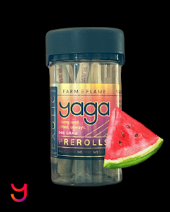 YAGA - Pineapple (Sativa) .5G Six Pack of Dog Walkers