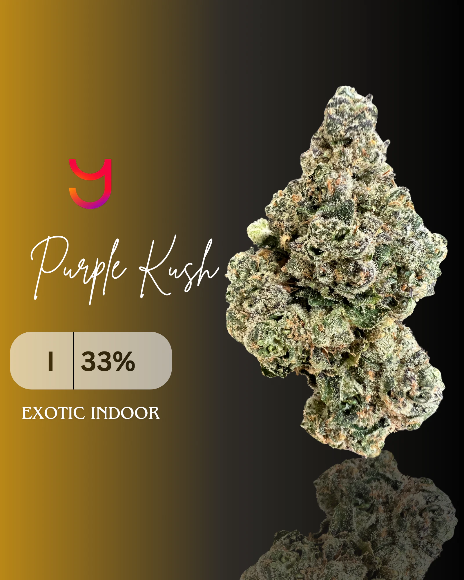 YAGA - Purple Kush (I): Top Shelf | 3.5G Main Image