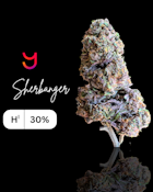 Sherbanger (H): 14G