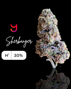 YAGA - Sherbanger (H): 3.5G