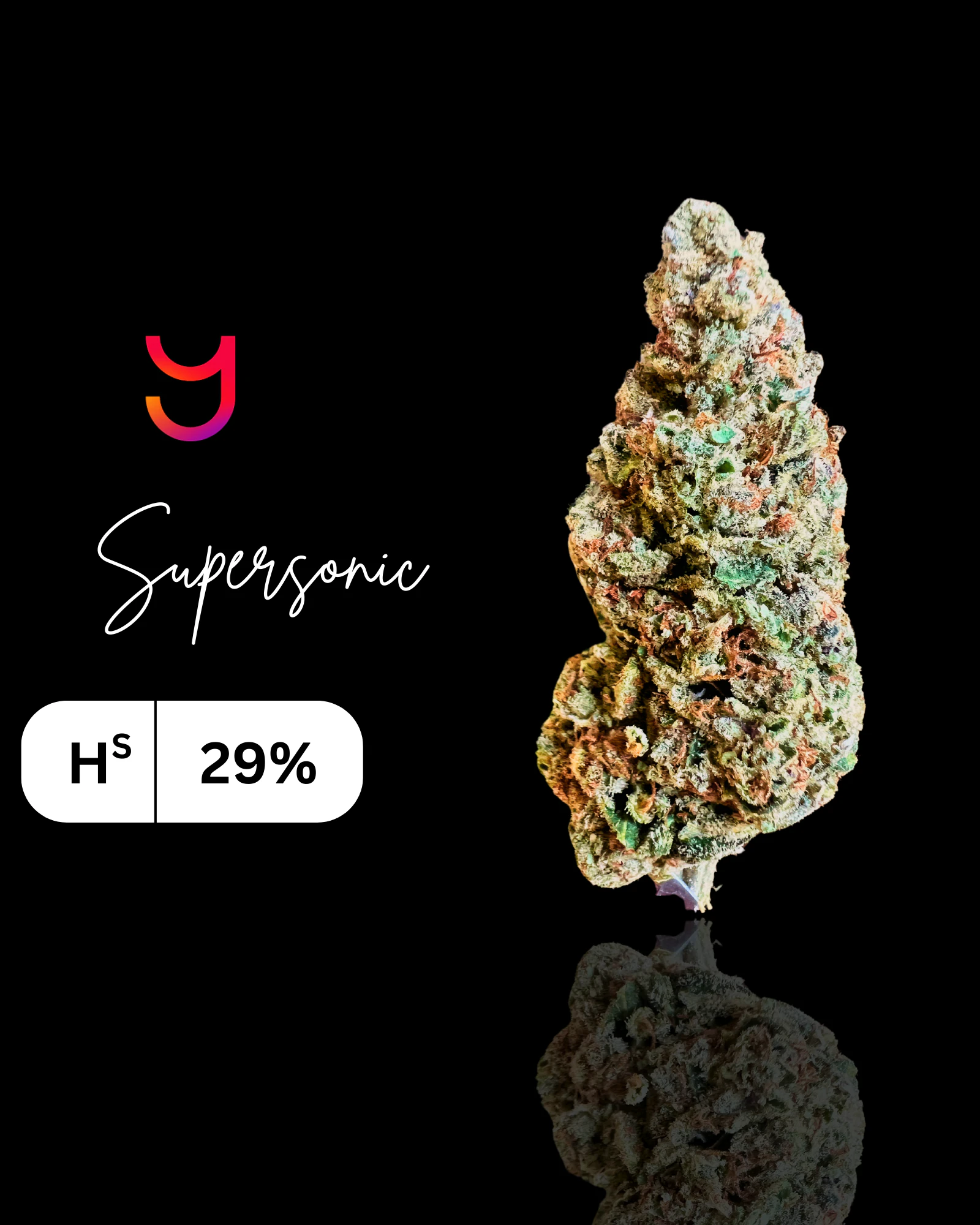 YAGA - Supersonic | 3.5G (H/S) Main Image