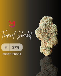 YAGA -  Tropical Sherbet (H): Top Shelf | 3.5G