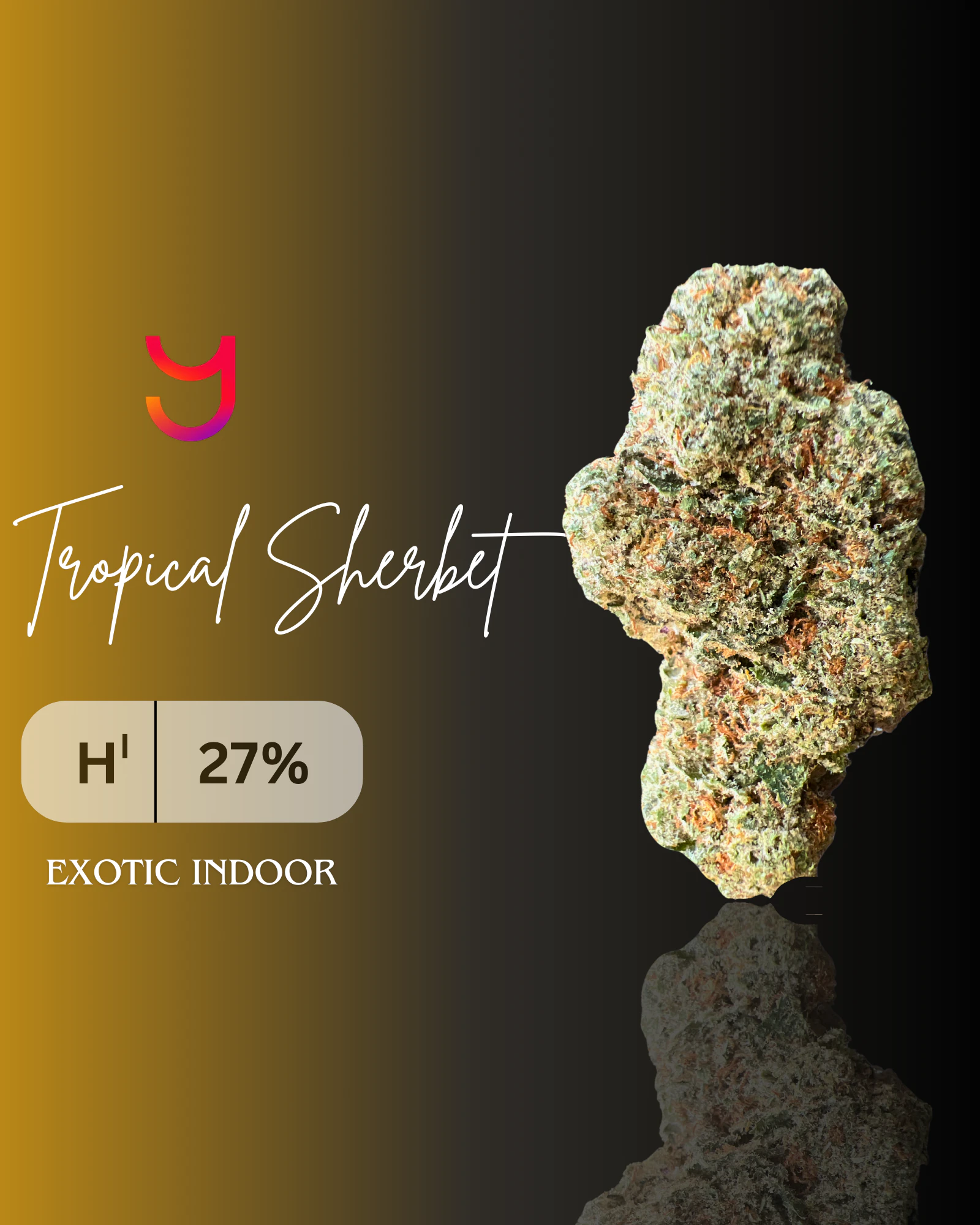 YAGA - Tropical Sherbet Half Ounce (H) : Top Shelf | 14G Main Image