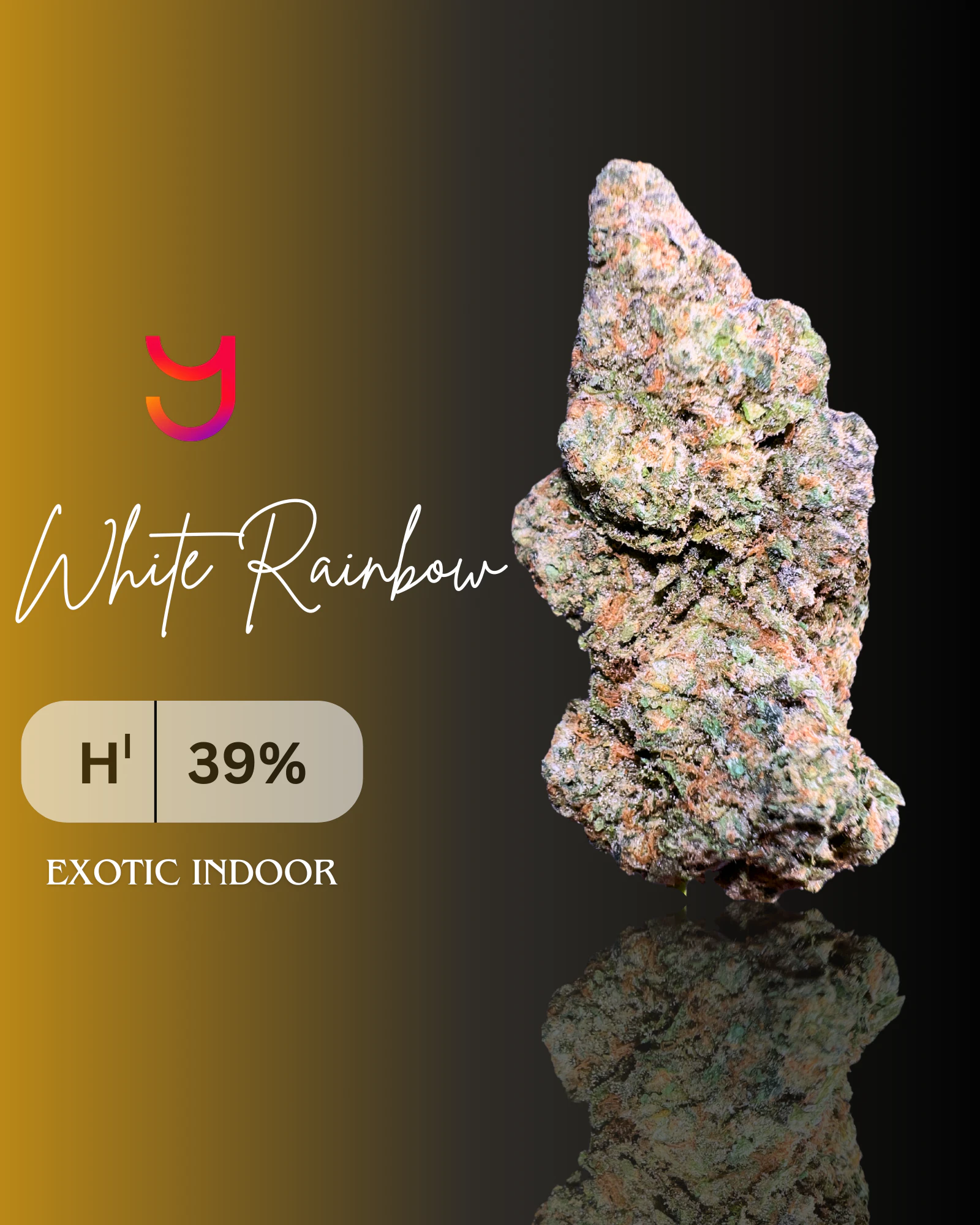 YAGA - White Rainbow (H): Top Shelf | 3.5G Main Image