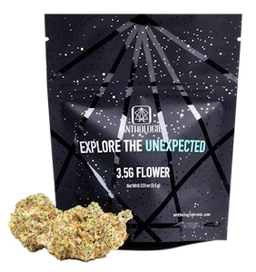 ANTHOLOGIE - White Widow 3.5g