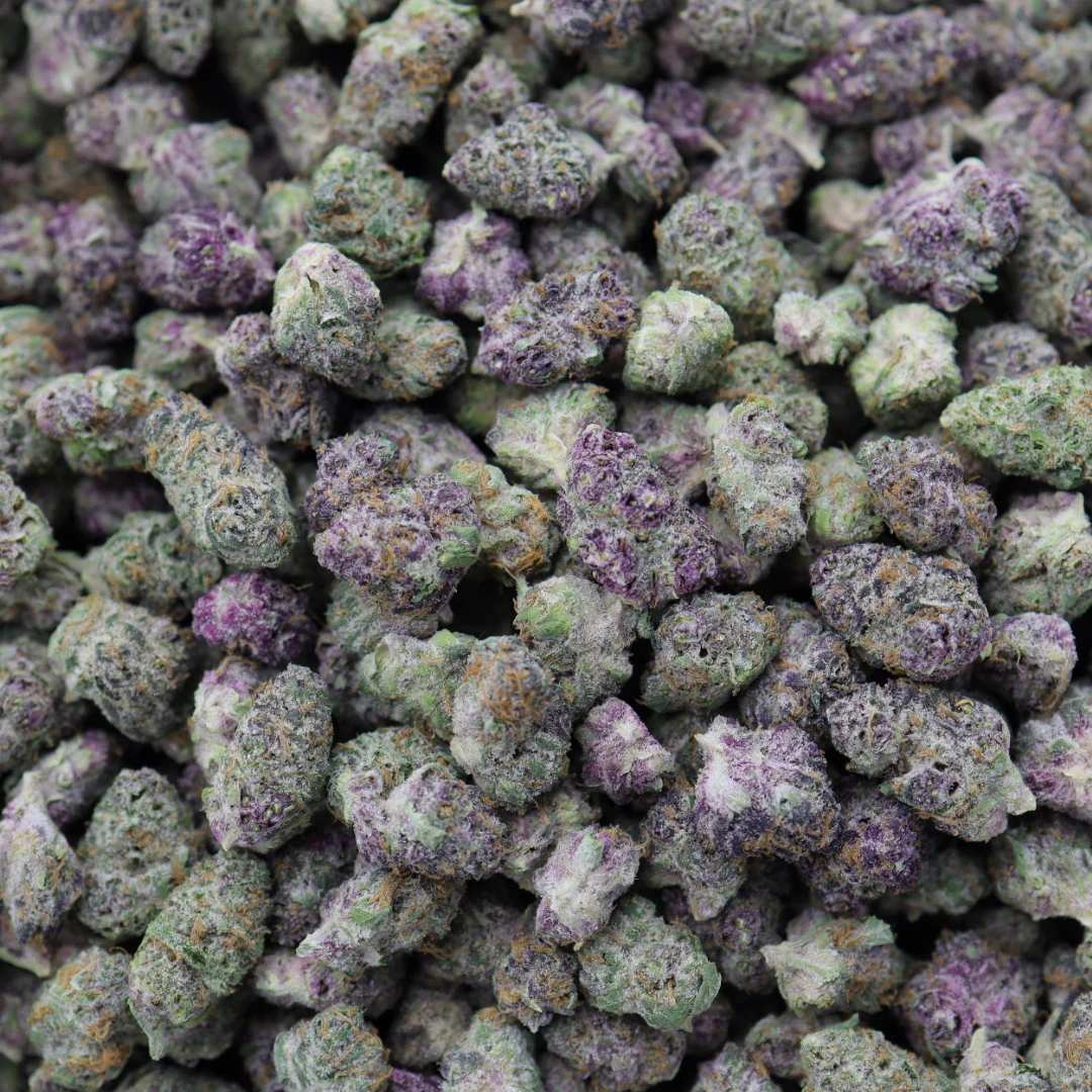 YAGA - Blockberry Kush Smalls: Top Shelf | 10G (I) Main Image