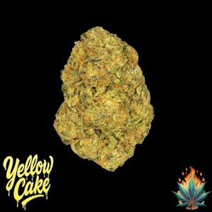 Tribal Nation Flower Company - Native Fire 3.5g- Yellow Cake