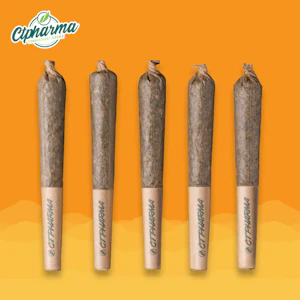 CT Pharma - Yellow Haze OG Shorties S 26110