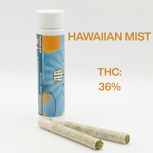 ALTERED ALCHEMY - Altered Alchemy | Inf PR 2pk [I] | Watermelon Milkshake