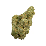 Amaretto Sour, Indoor