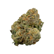 Galactic Warheads, Indoor