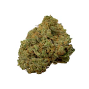 Ghost Candy, Indoor