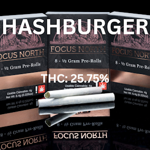 FOCUS NORTH - Focus North | Preroll 8pk/4g [I] | Hash Burger