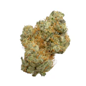 Death Kiss, Indoor