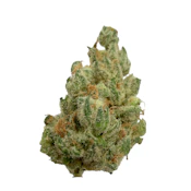 Baby Billy OG, Indoor