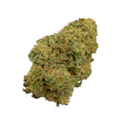 Tribute, Sungrown, 1oz