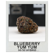 Blueberry Yum Yum