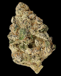Yummy Yummy (Buds)