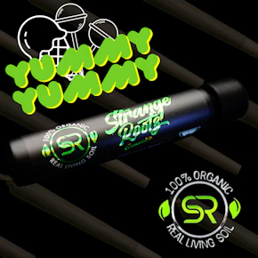 Yummy Yummy Pre Roll