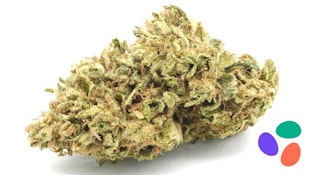 Z'Phoria - 3.5g (H) - Sunrise Mountain Farms