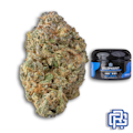 Zelephant Flower | Quarter Special