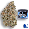 Zelephant Flower | Eighth Special