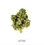 DPF - LA Zkittles