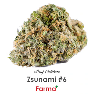 PRUF CULTIVAR - Pruf Cultivar Zsunami #6