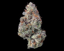 Zuzu Berry (Minis) - 14g (S) - Maven