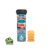 KIVA LOST FARM - White Peach X White Widow X White CBG 10:10 - Live Rosin Gummies - 100MG