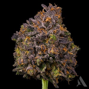 AFFINITY - Zangria Flower T19.57% I 00373