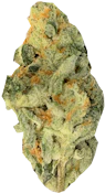 Zero Gravity | Indica