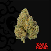Dark Heart | Zesty Garlic Cookies | 3.5g