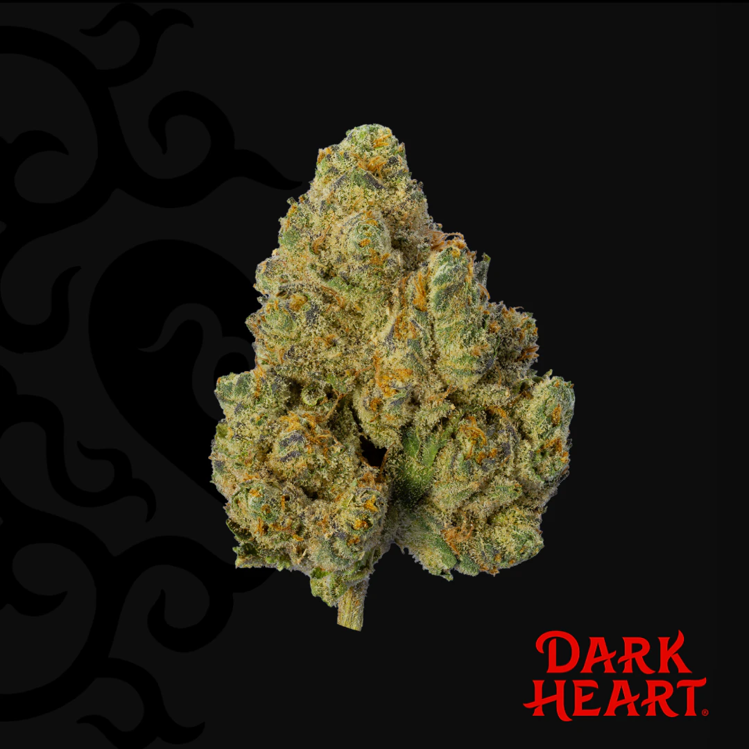 Dark Heart - Dark Heart | Zesty Garlic Cookies | 3.5g Main Image