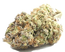 Basic Bud - 1oz - Zev