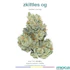 Product Preview Image 1
