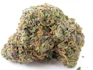 Product Preview Image 2